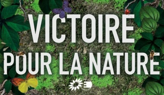Victoire : Le Parlement européen adopte le texte final de la Loi sur la Restauration de la Nature !