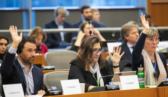 Caroline Roose présente son premier document de travail sur le transport des animaux