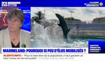 Marineland : se mobiliser pour que cesse enfin la captivité des cétacés