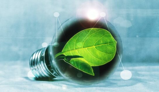 Plateforme technologies stratégiques: un texte problématique pour les fonds régionaux, l’environnement et le climat