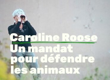 5 ans de combats pour les animaux (vidéo)