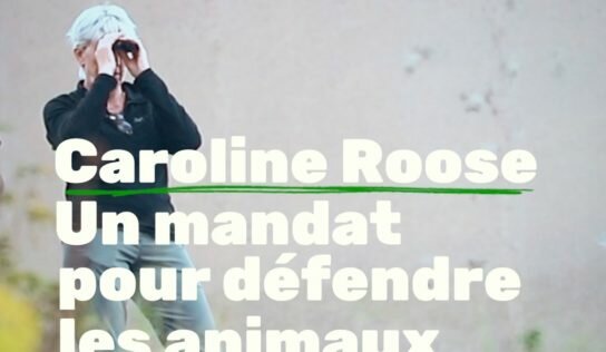 5 ans de combats pour les animaux (vidéo)
